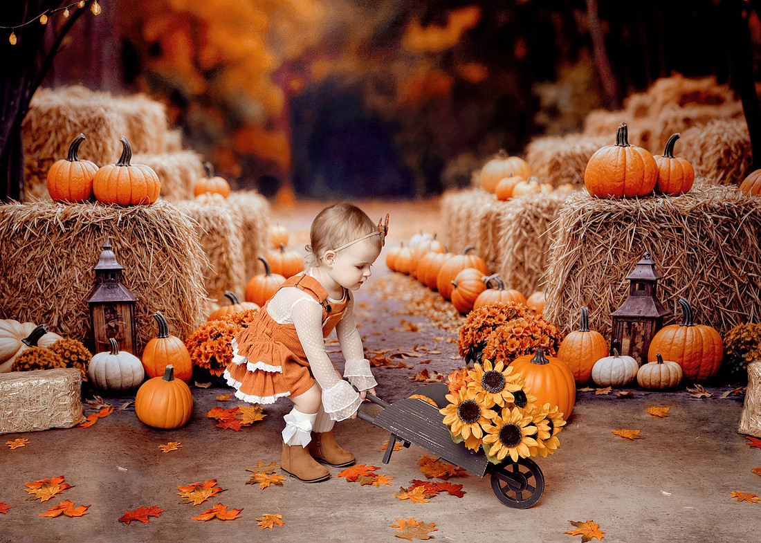 fall, fall mini, fall mini photos, fall mini photographer, fall mini's, kokomo fall mini photographer, Russiaville Fall mini photographer, Howard county fall mini photographer, howard county photographer, kokomo photographer, 