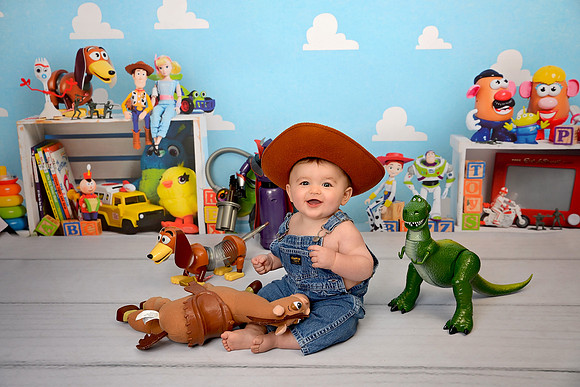 Toy Story