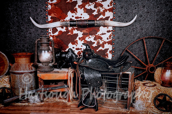 Western/Cow