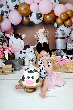 Cow Farm