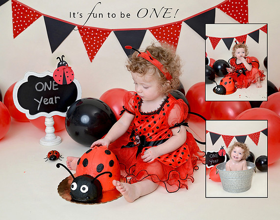 Ladybug