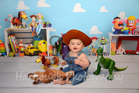 Toy Story