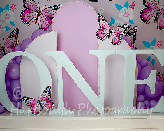 Butterfly ONE