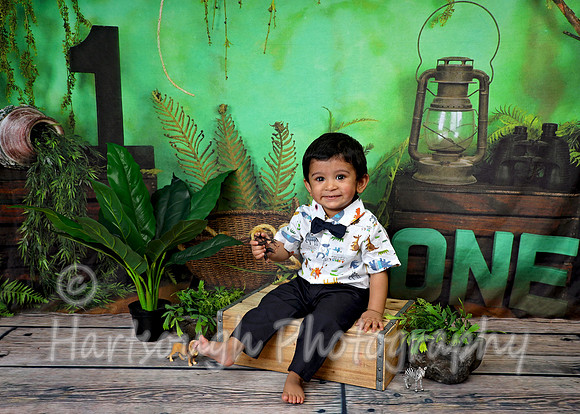 Jungle