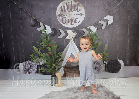 Wild ONE/ gray